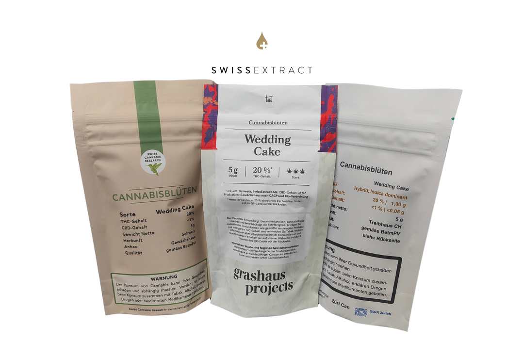 Erkenntnisse aus dem Analysebericht zu den Cannabis Pilotversuchen 2024-2025